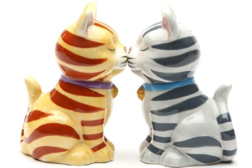 Salière et poivrière chatons magnétiques en céramique Pacific Trading