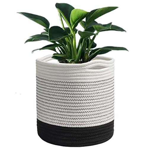 Kmerce Cesta Para Plantas, Macetas De Fibra De Algodónc, Cestas Trenzadas Maceta Con Asa, Macetas Para Decoración Interior, Cesta Plegable De Almacenamiento Para El Hogar, Diámetro De 20 Cm Kmerce Cesta Para Plantas, Macetas De Fibra De Algodónc, Cestas Trenzadas Maceta Con Asa, Macetas Para Decoración Interior, Cesta Plegable De Almacenamiento Para El Hogar, Diámetro De 20 Cm