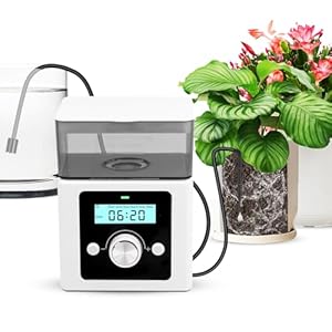 comeonai Système d&rsquo;arro...