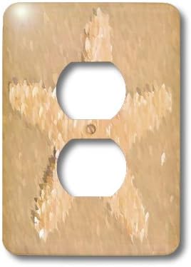 3drose LLC lsp _ 47737 _ 6ピーチペイントヒトデビーチテーマアート海の生物2プラグコンセントカバー