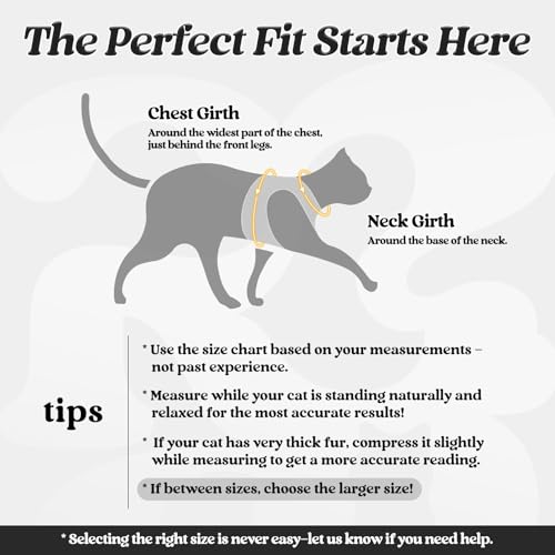 rabbitgoo Cat Harness and Leash Set for Walking Escape Proof, Adjustable Soft Kittens Vest with Reflective Strip for Cats, Comfortable Outdoor Vest, Black, S - Image 3