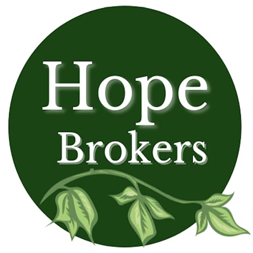Hope Brokers cover art