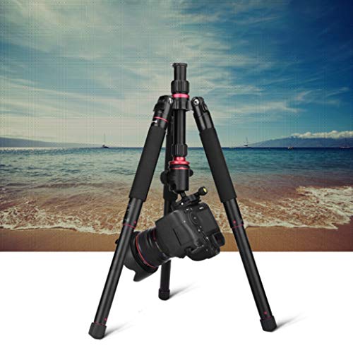 FEANG 59-Zoll-Stativ for Kamera, leichtes Aluminium-Stativmonopod mit 360 Grad Kugelkopf und Tragetasche for Reisen und… – Bild 7