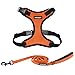 Voyager Step-in Lock Dog Harness and Reflective Dog Leash Combo Set with Neoprene Handle 5ft Long - Supports Small, Medium and Large Breed Puppies/ Cats - Orange Black Trim (w Leash), XL
