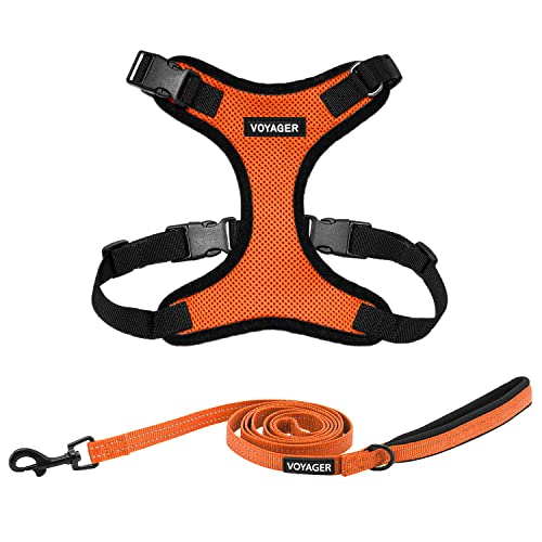Image of Best Pet Supplies Voyager Step-in Lock Pet Harness w Reflective Pet Leash Combo Set with Neoprene Handle 5ft - Supports Small, Medium and Large Breed Puppies /Cats - Orange /Black Trim Set, S