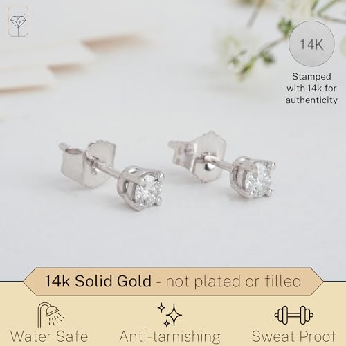 MAX + STONE IGI Certified 1/4 Carat Lab Grown Diamond Stud Earrings in 14k White Gold with 4-Prong Setting | Real Diamond Earrings for Women 14k Real Gold | White Gold Diamond Earrings Studs