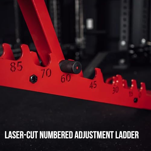 Adjustable Ab Bench for Core