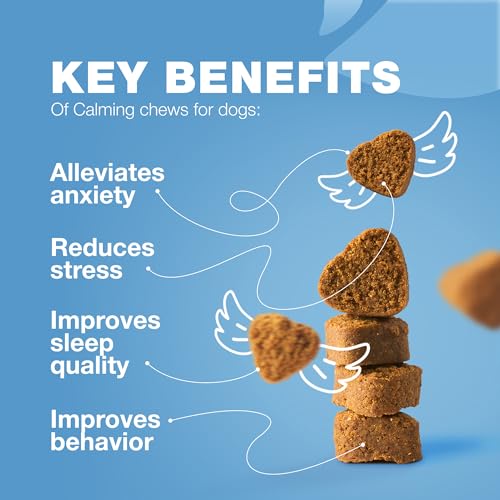 Hemp Calming Chews for Dogs - Dog Calming Treats - Anxiety Relief for Dogs with L-Theanine, Chamomile Extract, Valerian Root - Dog Anxiety Relief for Travel, Vet Visits, Thunderstorms, Nail Trimming