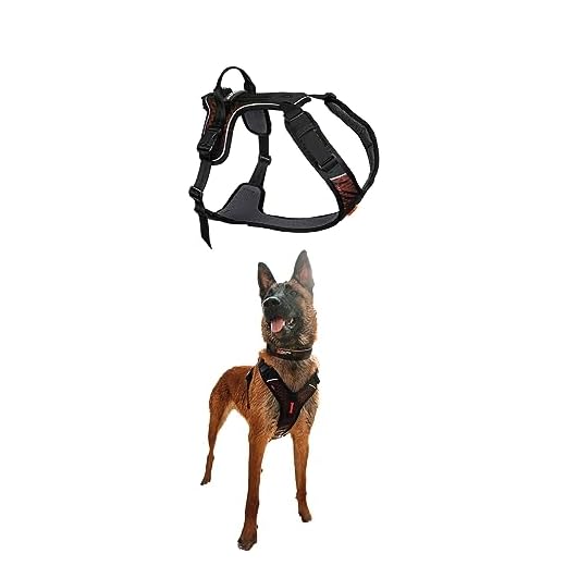 Non-stop dogwear Rock Harness | 130 | geleiding en dagelijks servies, maat: XS