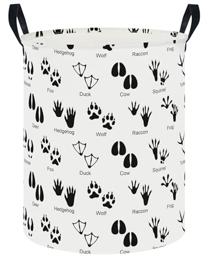 CLOCOR ^h[oXPbgAhۈ牀oXPbgA܂肽ݎt@ubNXg[WReiȂAMtgoXPbg(̑)