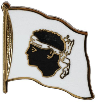 Pin's Drapeau France Rhône-Alpes - Épinglette Métal 2x2 Cm - Collection Région Française