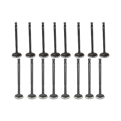 DNJ VK164313 Exhaust Intake Valve Kit for 2011 to 2017 Ford Fiesta L4 1.6L DOHC 16V EV4313 X8 IV4313 X8