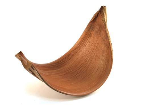 NADECO Natural Decorations Cocco Foglia Gigante