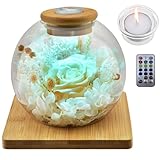 母の日 プリザーブドフラワー プレゼント ブリザードフラワー ガラスドーム 優雅なバラキャンドルホルダー 結婚祝い 記念日 誕生日 白い日のプレゼント人気 引っ越し 入学 卒業 新築祝いの贈り物 お見舞い ぶりざーどフラワー ギフト 人気 (シャンパンゴールド)