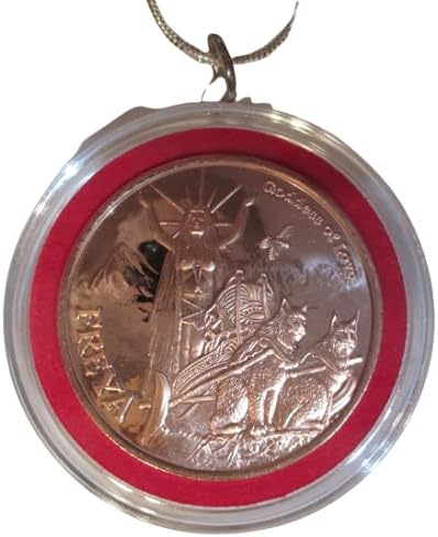 Goddess of Love – Freya Sterling Silver 24 inch Chain Necklace, Copper Coin, Pendant (Air Tight Capsule)