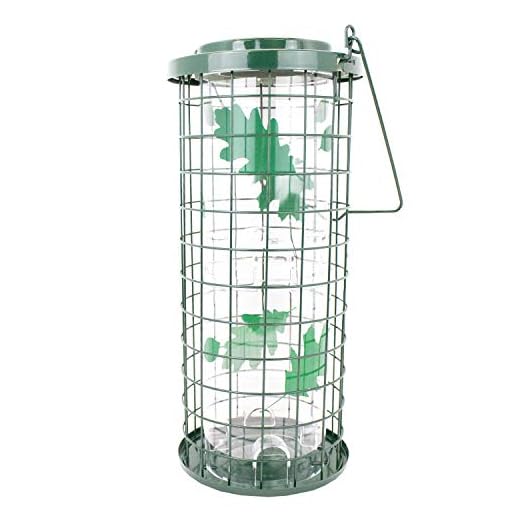Perky-Pet Squirrel Stumper Wild Bird Feeder - Keep Squirrels Out - 8 Feeding Ports for Wild Birds - 3 lb Wild Bird Seed Capacity - 114G, Green - Decor for Outdoors