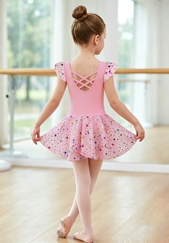 Image of DANSHOW Ballet Leotards for Girls Dance Skirted Leotard Kids Ballet Tutu Dress Toddler Shiny Ruffle Sleeve Dancewear