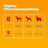PEDIGREE Hundenassfutter Vital Protection Portionsbeutel mit Rind- und Lebermischung in Gelee, 24 x 100g