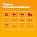 PEDIGREE Hundenassfutter Vital Protection Portionsbeutel mit Rind- und Lebermischung in Gelee, 24 x 100g