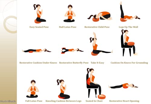 Image of Buckwheat ZAFU Meditation Cushion Filled with Buckwheat Hulls (Round - Orange)