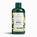 The Body Shop Shower Gel, Moringa, 8.4 Fl Oz
