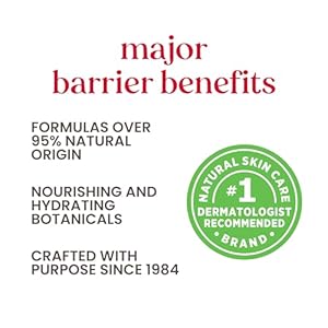 Burts bees gifts ideas in full bloom lip balm set original beeswax dragonfruit lemon tropical pineapple strawberry natural origin lip treatment 4 tubes 015 oz  urban country home decor