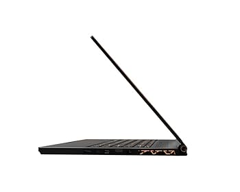 Amazon.co.jp: MSI 15.6型ゲーミングノートPC GS65 Stealth Thin