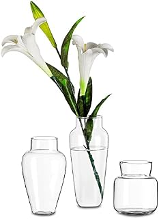 Glasseam Handmade Glass Flower Vase, Set of 3 Wide Neck Clear Vase for Living Room Decorative Bottle Vase for Wedding Dining Table Centrepiece Pampas Grass Artificial Posy Bouquet Rose Ornaments