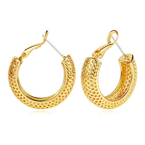 FAUTHENTICUTE Hollow Hoop Earrings for Women, Classic Chunky Hoop Earrings for Girls Christmas Gift, 14K Gold Plated
