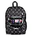 JanSport Laptop Backpack - Computer Bag with 2 Compartments, Ergonomic Shoulder Straps, 15” Laptop Sleeve, Haul Handle - Bad Bows