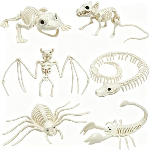 41dGZSlOG3L._AC_ CAMIRUS 6 x Halloween-Skelette, realistisches Tierskelett