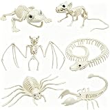 CAMIRUS 6Pack Animal Halloween Skeletons, Realistic Animal Skeleton