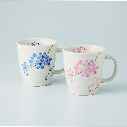 }OJbv yA}O [iF}OJbvx2/8x8.7x9.5cm F19.5x10x9.5cm] 510g {[ Z Mtg v[g o j