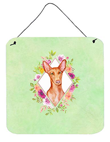Caroline's Treasures CK4328DS66 Pharaoh Hound Green Flowers Wall or Door Hanging Prints Aluminum Metal Sign Kitchen Wall Bar Bathroom Plaque Home Decor, 6x6, Multicolor