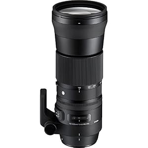 Sigma 150-600mm F5-6.3 DG OS HSM Zoom Lens (Contemporary) for Canon DSLR Cameras - (Certified Refurbished) — photo 4 of 6