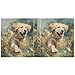 ALAZA Golden Retriever Puppy Dog Animal 3 Ring Binder Holds of 200 Sheets Fits Letter Sized Paper D-Ring Organizer for School Home Work Office Supplies 2 Pack