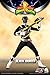Mighty Morphin Power Rangers: Black Ranger 1:6 Scale Collectible Figure