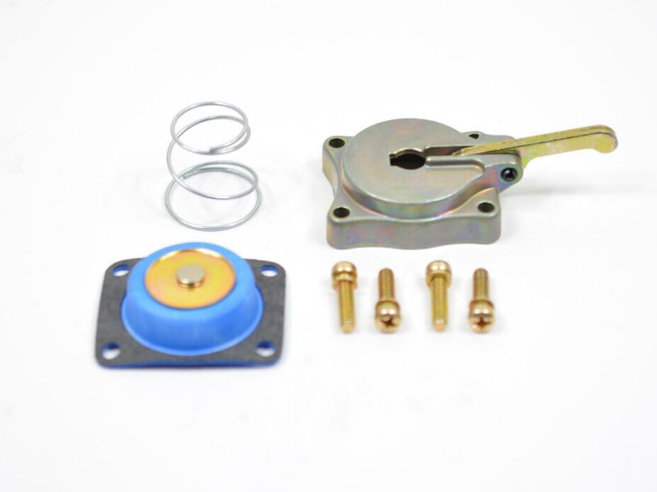 50cc Accelerator Pump Housing, Alcohol Diaphram, Spring & Screws Kit Fits: Holley Carburetor 2300, 4150, 4160 & 4500