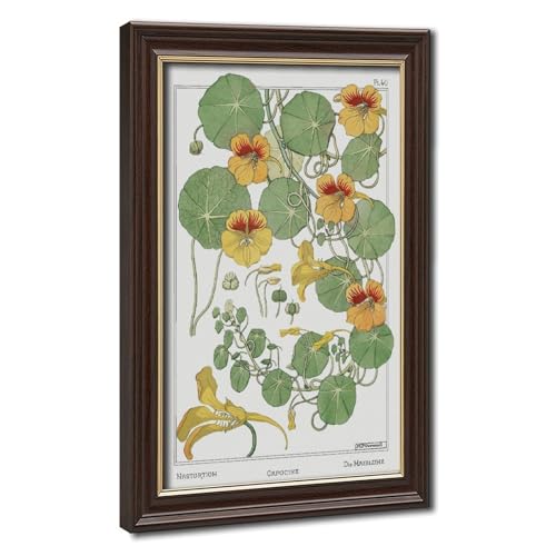 Impression sur toile capucine pour sublimer la décoration murale du bureau