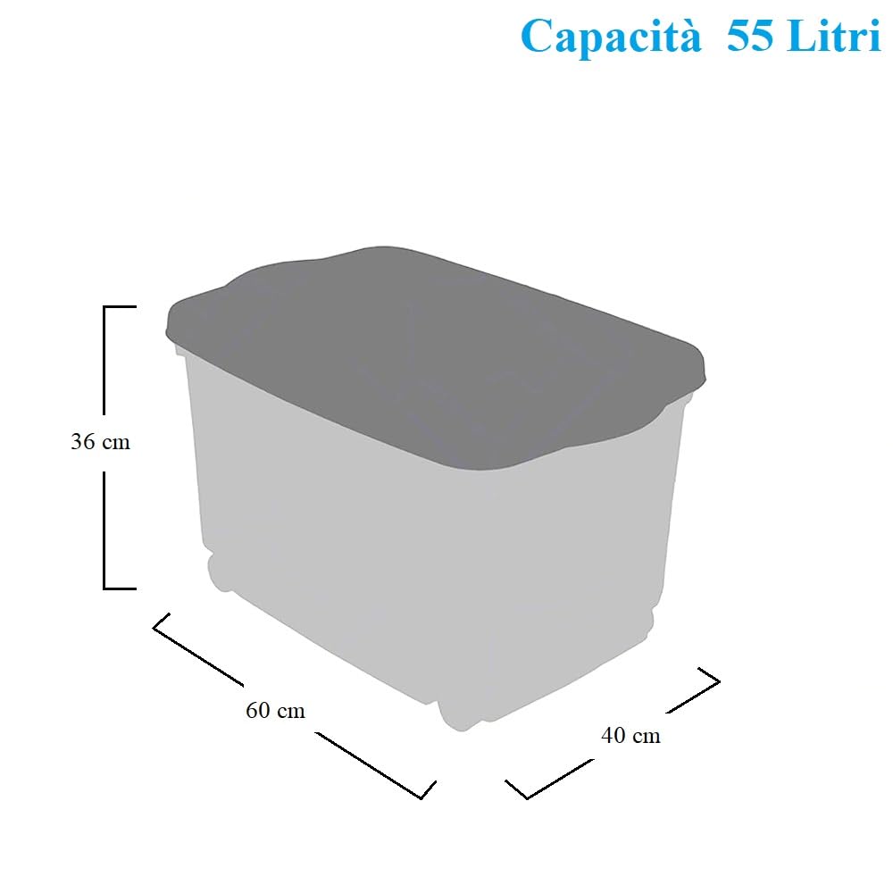 VIRSUS 3 Contenitori Multiuso con Ruote 701, misura 60x40x36 cm e capacità 55 Lt, Porta biancheria Trasparente, Organizer con coperchio, box salvaspazio per Scarpe, Vestiti, Giocattoli (Verde)