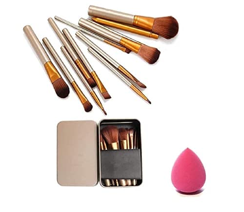 SKINPLUS makeup brushes kit with sponge puff (Pack of 12)