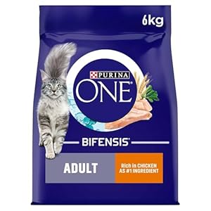 PURINA ONE Chicken Dry Cat Food 6kg
