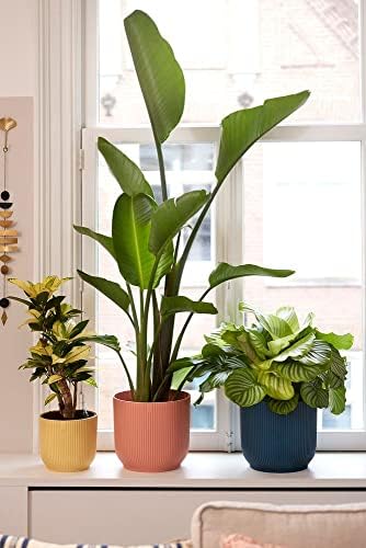 Elho Vibes Fold Round 16-100% recyclable Flower Pot - Indoor plant pot Ø 16.1 x H 14.8 cm - Blue/Deep Blue
