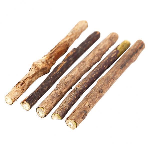 5 varitas de catnip y actinidia polygama para la limpieza dental de gatos