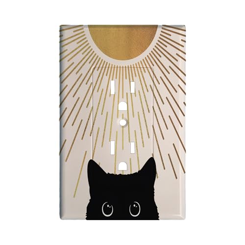Couvre-interrupteur pour masquer les imperfections de prise duplex murale