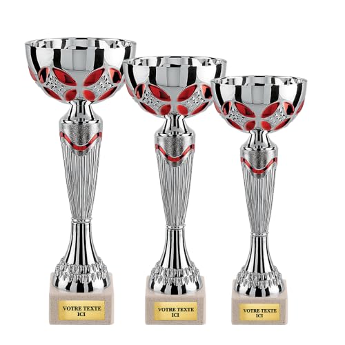 TROPHEES DES VAINQUEURS Lot de 3 Coupes Trophées Podium 21, 23 et 25 cm | Argent et Rouge avec Socle en Marbre | Récompenses Sportives pour Tournois et Compétitions - CP5217ABC