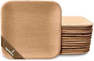 Disposable Palm Leaf Plates - 25 Pack - Square Shape Biodegradable Plates - 10 inch - 26 cm - 100% All Natural Areca Palm Leaf Tableware - Perfect for Picnics, BBQ, and Outdoor Parties