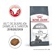 ROYAL CANIN Dental Care Katzentrockennahrung – 2 x 0.4 kg
