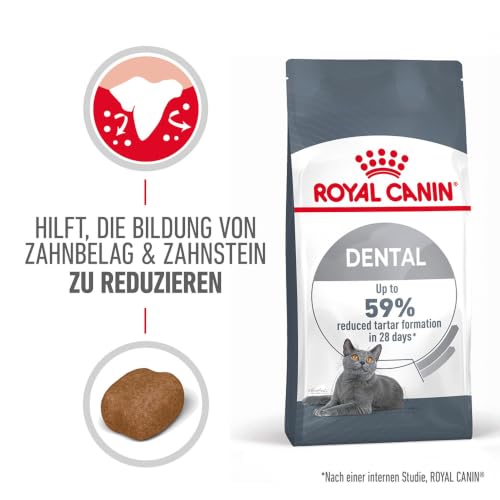ROYAL CANIN Dental Care Katzentrockennahrung – 2 x 0.4 kg