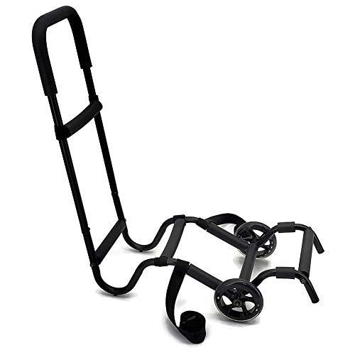 Royal Massage Product Guide 15 Best Things to Buy from Royal Massage